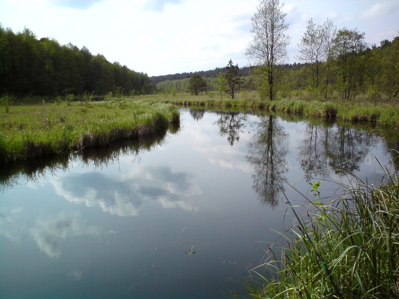 Rzeka Rurzyca